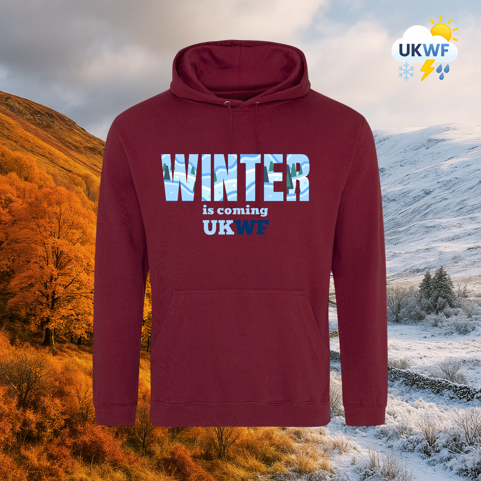 Winter is coming Hoodie